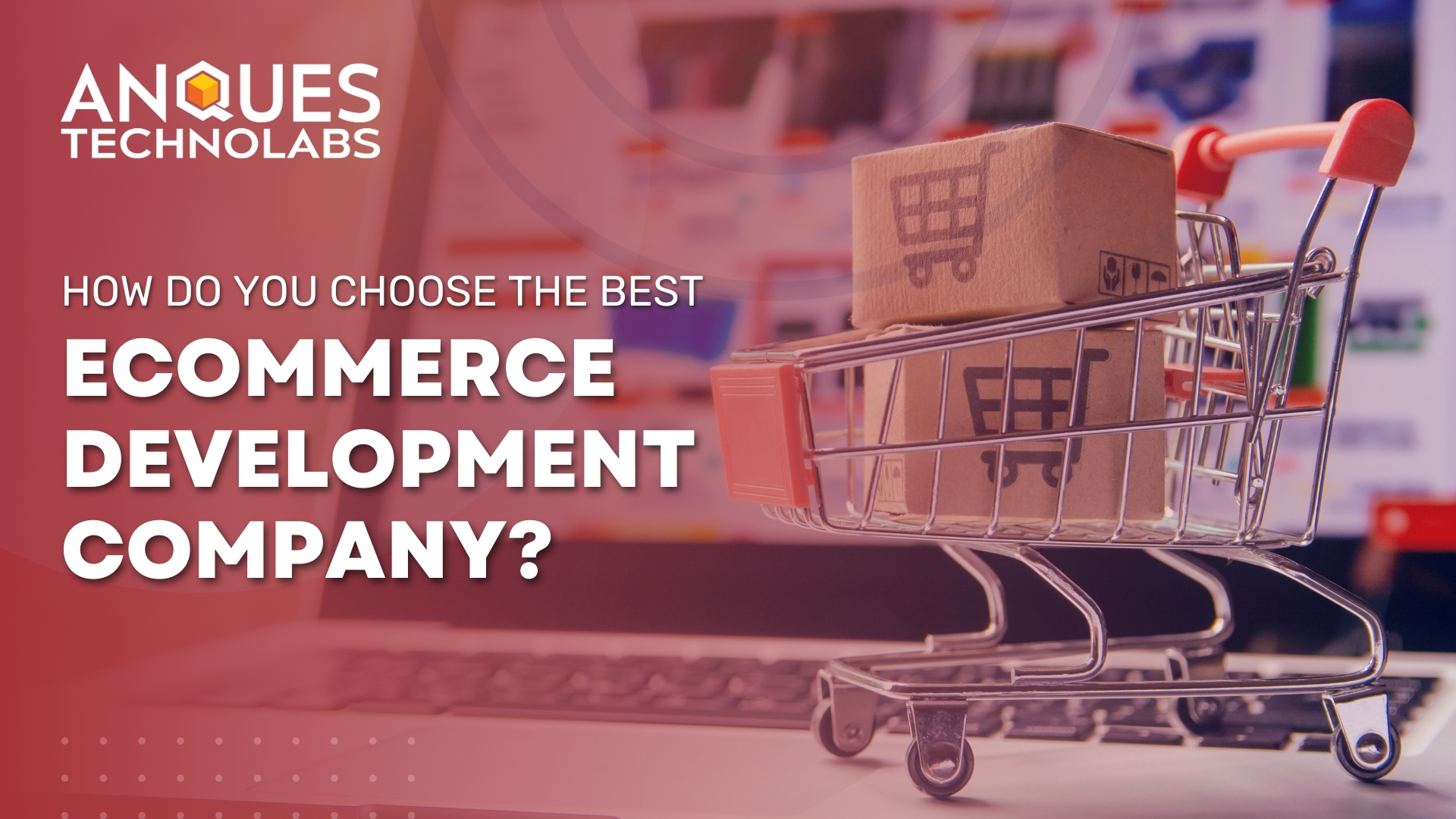 How Do You Choose the Best Ecommerce Development Company? cover image